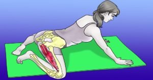 Alongamentos para Melhorar a Flexibilidade