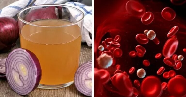 Melhores Alimentos Para Controlar os Níveis de Açúcar