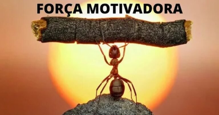 Motivação