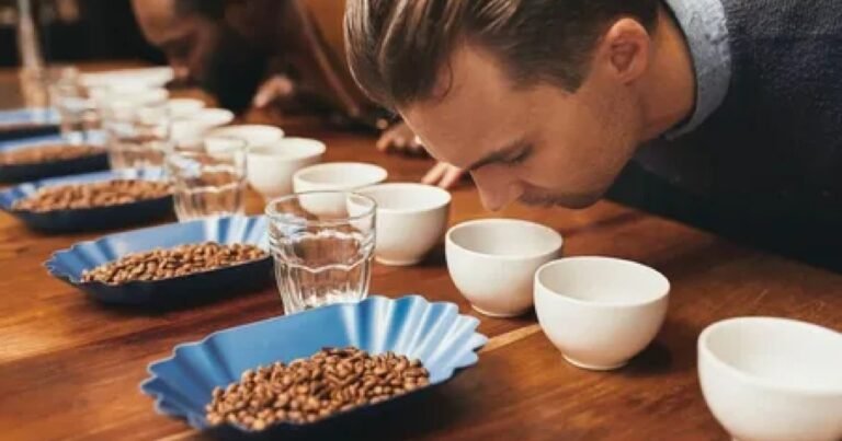O Impacto do Consumo de Café