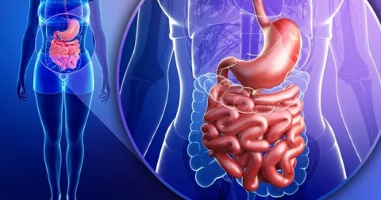 O papel da saúde intestinal na perda de peso e formas de melhorar a saúde digestiva”
